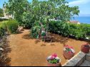 Vakantiehuizen Lumos - panoramic view & olive garden: H(10) Postira - Eiland Brac  - Kroatië  - moestuin