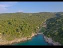 Vakantiehuizen Irena - secluded paradise; H(4+1) Baai Prapatna (Pucisca) - Eiland Brac  - Kroatië  - vegetatie