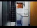 Apartementen Antonia - 270m to sea: A4 Green(2+2), SA2 Silver(2), A1Blue(2), SA3 Gold(2) Mastrinka - Eiland Ciovo  - Appartement - A1Blue(2): badkamer met toilet