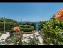 Apartementen Daniela - terrace with amazing sea view A1(6) Okrug Gornji - Eiland Ciovo  - tuin