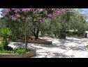 Apartementen Ljuba - nice garden: A2(4+1) Plavi, A4(8+1), A1(2+2) Okrug Gornji - Eiland Ciovo  - bloemenperken (huis en omgeving)