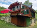 Vakantiehuizen Riverside house - beautiful nature: H(6) Zumberak - Continentaal Kroatië - Kroatië  - huis
