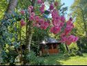 Vakantiehuizen Riverside house - beautiful nature: H(6) Zumberak - Continentaal Kroatië - Kroatië  - bloemen