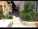 Apartementen Pavo - comfortable with parking space: A1(2+3), SA2(2+1), A3(2+2), SA4(2+1), A6(2+3) Cavtat - Riviera Dubrovnik  - tuin