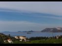 Apartementen Ante - with pool: A1(6+2), SA2(2), A3(2+2), SA4(2) Cavtat - Riviera Dubrovnik  - vegetatie