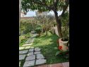 Kamers Garden - with a view: R1(2) Dubrovnik - Riviera Dubrovnik  - tuin