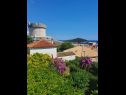 Kamers Garden - with a view: R1(2) Dubrovnik - Riviera Dubrovnik  - uitzicht (huis en omgeving)