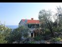 Apartementen Iva - with nice view: A1(2+2) Molunat - Riviera Dubrovnik  - huis