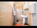 Apartementen en kamers Stjepan - panoramic view: SA1(2) Motovun - Istrië  - Studio-appartment - SA1(2): badkamer met toilet