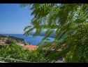 Apartementen en kamers Gracia - with great view: SA1(2), SA2(2) Rabac - Istrië  - Studio-appartment - SA1(2): uitzicht vanaf terras
