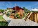 Vakantiehuizen Barbara - perfect holiday: H(5) Umag - Istrië  - Kroatië  - tuin (huis en omgeving)