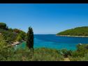 Vakantiehuizen Vers - 35m from the sea: H(4+2) Baai Picena (Vela Luka) - Eiland Korcula  - Kroatië  - uitzicht