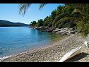 Vakantiehuizen Senka1 - pure nature & serenity: H(2) Baai Tudorovica (Vela Luka) - Eiland Korcula  - Kroatië  - strand