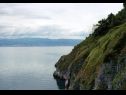 Vakantiehuizen Bernardica - on cliffs above sea: H(6+2) Vrbnik - Eiland Krk  - Kroatië  - vegetatie