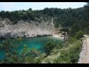 Vakantiehuizen Bernardica - on cliffs above sea: H(6+2) Vrbnik - Eiland Krk  - Kroatië  - vegetatie