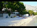 Apartementen Toni - 150m from pebble beach: A1 veliki (5) Baska Voda - Riviera Makarska  - strand
