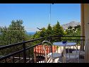 Apartementen Miljko - 80 m from beach: A1(6), SA2(2), A10(4+1), A11(2+2) Brela - Riviera Makarska  - terras