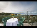 Apartementen Panorama - terrace with sea view: A1(4) Brela - Riviera Makarska  - Appartement - A1(4): terras