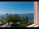 Apartementen Ruze - 200 m from sea : A1(6+1), A2(8+1) Brela - Riviera Makarska  - Appartement - A2(8+1): uitzicht