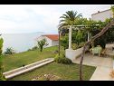 Apartementen Sea View - cosy & comfortable: A2 Zaborke(4), A4 Somina(2+2) Brist - Riviera Makarska  - Appartement - A2 Zaborke(4): uitzicht vanaf terras