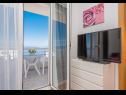 Apartementen Ivi - 100 m from pebble beach: A1(2+2), A2(2+2), A3(2+2), A4(4+4), A5(2+2) Drasnice - Riviera Makarska  - Appartement - A1(2+2): balkon