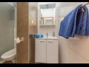 Apartementen Ivi - 100 m from pebble beach: A1(2+2), A2(2+2), A3(2+2), A4(4+4), A5(2+2) Drasnice - Riviera Makarska  - Appartement - A3(2+2): badkamer met toilet