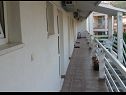 Apartementen Boro - sea view SA1(3), SA2(3), SA3(3) Dugi Rat - Riviera Omis  - terras