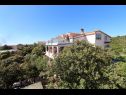 Apartementen Mare-200 m from the beach A1(2+2), A2(4), A3(2) Mandre - Eiland Pag  - huis