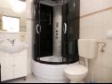 Apartementen Nedo - 150 m from sandy beach: A1(2+1), A2(2+1) Lopar - Eiland Rab  - Appartement - A2(2+1): badkamer met toilet
