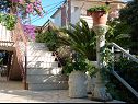 Apartementen Laura - 20m from the sea A4(6) Trogir - Riviera Trogir  - tuin (huis en omgeving)
