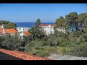Apartementen MiMa - 150 m from the beach: A1(2+2), A3(5), A2(2+2) Susica - Eiland Ugljan  - uitzicht op zee (huis en omgeving)
