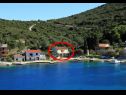 Apartementen Roki - 10 m from beach: A1(6+2) Veliki, A2(2+2) Mali Baai Rogacic (Vis) - Eiland Vis  - Kroatië  - vegetatie (huis en omgeving)