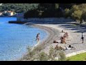 Vakantiehuizen Paulo1 - peacefull and charming H(2+1) Baai Rogacic (Vis) - Eiland Vis  - Kroatië  - strand