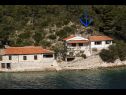 Vakantiehuizen Vinkli - amazing sea view H(8) Baai Stoncica (Vis) - Eiland Vis  - Kroatië  - huis