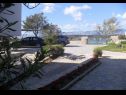 Apartementen Blue Skies - 30 m from the sea: A1(4+1), A2(2+2), SA3(2+1) Ljubac - Riviera Zadar  - tuin