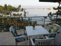 Apartementen Ljilja - 10m from the sea with parking: A2(2+2), A3(2+2), A4(12) Nin - Riviera Zadar  - terras