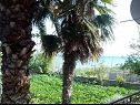 Apartementen Teo - 8m from the sea & parking: A1 žuti(4), A2 bijeli(4), A3 novi(4) Privlaka - Riviera Zadar  - 