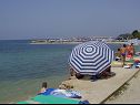 Apartementen Marietta - sea view: A1(2+2), A2(2+2) Rtina - Riviera Zadar  - strand