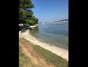 Apartementen Andy - only 50 m from beach: A1(3+1), A2(2+1), SA1(2) Sukosan - Riviera Zadar  - strand