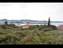 Apartementen Martina - 300 m from sea: A1(2+2), A2(2+2) Sukosan - Riviera Zadar  - vegetatie (huis en omgeving)