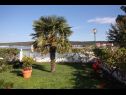 Apartementen Let - 5 m from sea : A1(4), A4(4) Sukosan - Riviera Zadar  - moestuin
