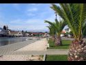 Apartementen Let - 5 m from sea : A1(4), A4(4) Sukosan - Riviera Zadar  - detail