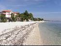 Apartementen Monika - 10m from sea: A8(4+2), A11(4+2), A16(4+2), A17(4+2), A12(2+2), A13(2+2), A20(2+2), A21(2+2), SA14(2+1), SA15(2+1), SA22(2+1), A23(2+1) Vir - Riviera Zadar  - strand