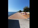 Apartementen Petin - 5m from the sea: A1(2+2), A2(2+2) Zadar - Riviera Zadar  - strand