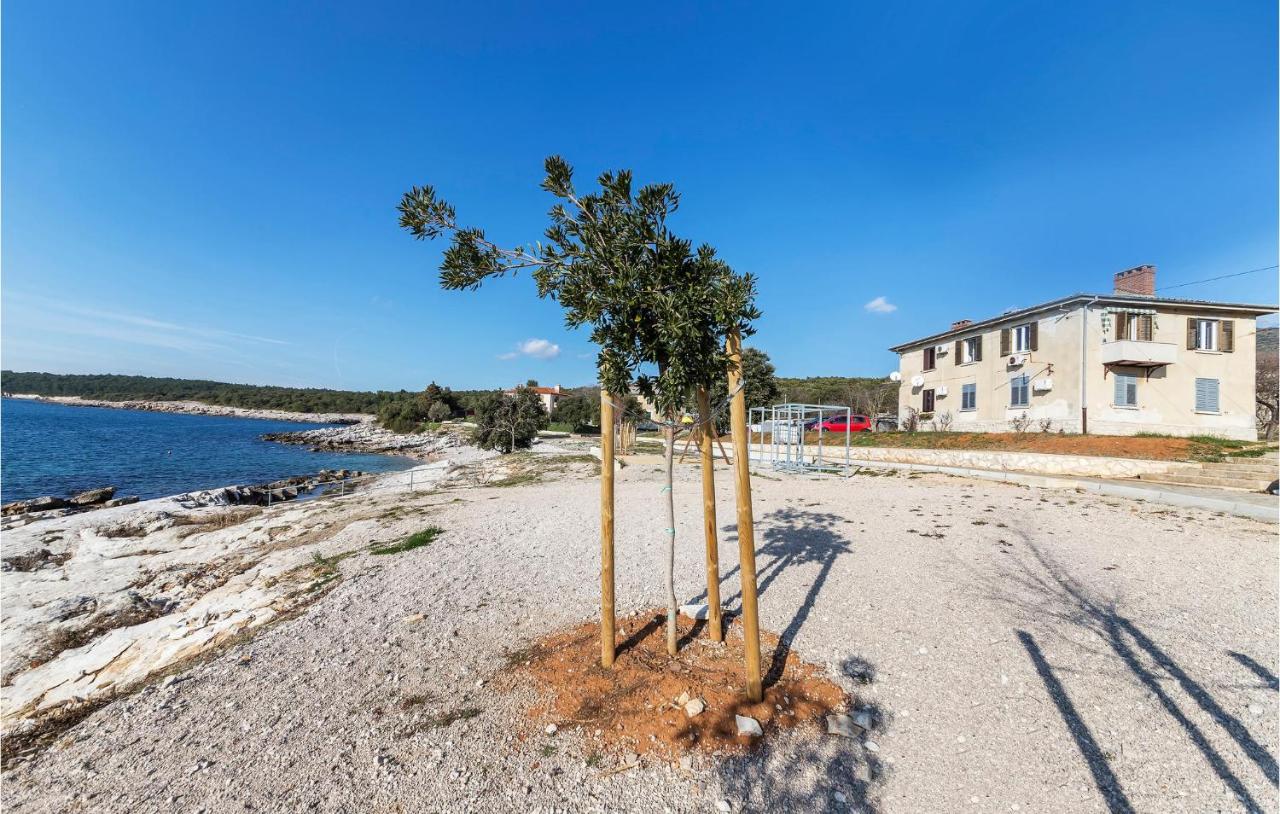 Apartementen Rajka - 20 m from beach: Rajka(4) Koromacno - Istrië 