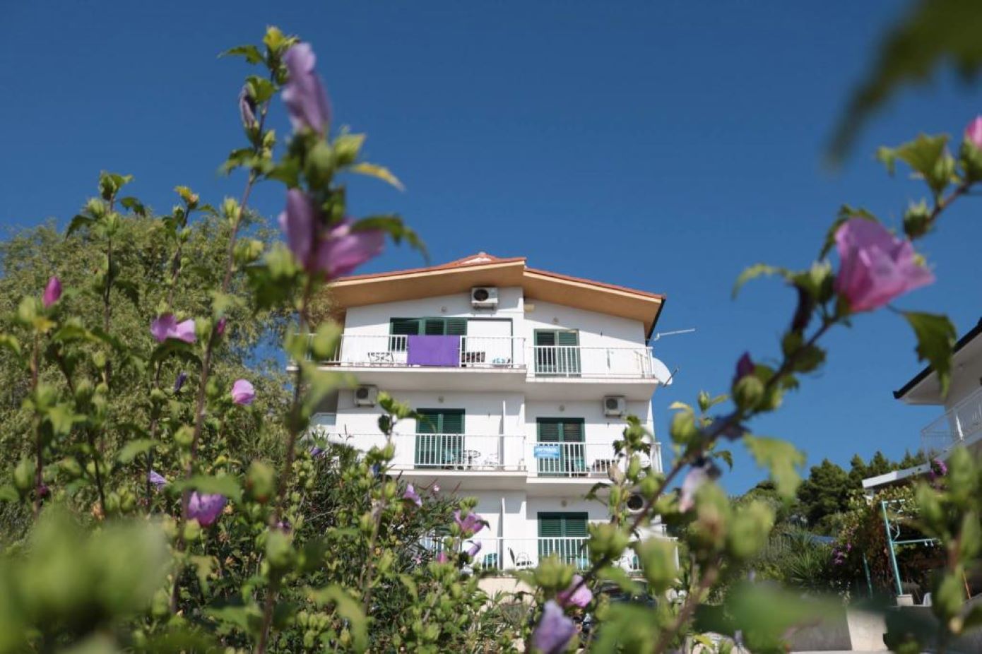Apartementen Gloria - 5 min to the beach : SA1(3+1), SA2(3), SA3(3), SA4(4), SA5(3), SA6(3), SA7(2), A8(6+4) Gradac - Riviera Makarska 
