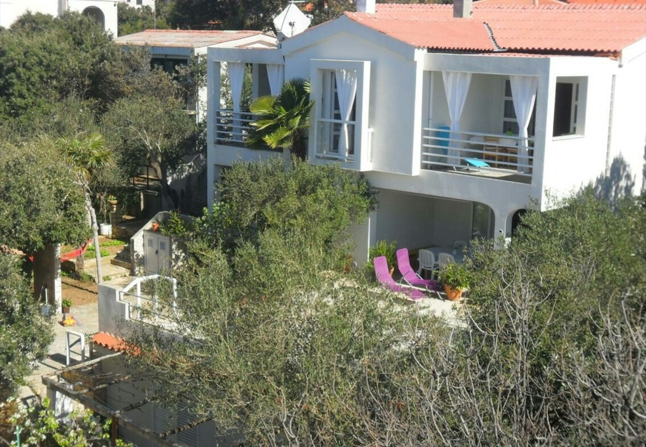 Apartementen Bari - 140 m from beach: A1(4+1), A2(4), A3(2+2) Mandre - Eiland Pag 