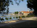 Apartementen Renato - 150 m from beach: A1(2+2), A2(2+2) Sveti Filip i Jakov - Riviera Biograd  - strand