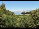 Vakantiehuizen Lidija - Robinson House: H(2+2) Baai Lovrecina (Postira) - Eiland Brac  - Kroatië  - uitzicht (huis en omgeving)