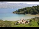 Vakantiehuizen Lidija - Robinson House: H(2+2) Baai Lovrecina (Postira) - Eiland Brac  - Kroatië  - strand
